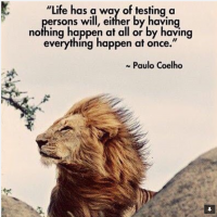 What is Jesus Doing?